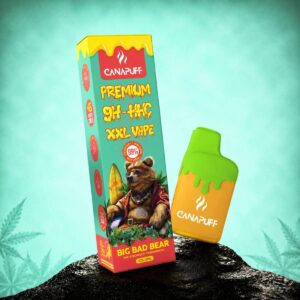 thca vape, vaper thca, mood sour diesel thca vape, thca vape españa, thca vape liquid, thca vape pen, thca vaper, thca vapes, vape pen thca, vape thca, vaper de thca, 5g thca vape, affordable thca vape options, ak-47 thca diamonds vape, are thca vapes good, are thca vapes legit, are thca vapes safe, area 52 thca vape cartridge, best thca disposable vape, best thca disposable vapes, best thca disposable vapes 2026, best thca rosin vape, best thca vape, best thca vape 2026, best thca vape brands, best thca vape brands georgia shipping, best thca vape brands georgia shipping 2026, best thca vape carts, best thca vape carts reddit, best thca vape disposable, best thca vape pen, best thca vape pens, best thca vape reddit, best thca vape texas, best thca vape vendors 2025, best thca vapes, best thca vapes 2026, best thca vapes for beginners, best thca vapes near me, best thca vapes online, black tie cbd thca carts vapes, boutiq switch thca liquid diamond disposable vape 2g, budget thca vape, bulk thca vapes, buy thca vape, buy thca vapes, buy thca vapes online, cake thca vape, can i bring a thca vape on a plane, can i bring thca vape on plane, can i fly with a thca vape, can i take a thca vape on a plane, can thca vapes help with anxiety, can you bring a thca vape on a plane, can you bring thca vapes on a plane, can you fly with a thca vape, can you fly with thca vape, can you vape thca, can you vape thca flower, cbd thca vape, cheap thca vapes, clarksville thca vape, compare thca vape prices across brands, cookie monster thca vape, cookies thca vape, cookies thca vape review, cookies thca vapes, cookies vape thca, delta 9 thca vape, delta munchies lil ripper liquid diamond thca vapes, diamond thca vape, disposable thca vape, disposable thca vapes, do thca vapes get you high, do thca vapes work, does thca convert to delta-9 thc when vaped, does thca convert to thc when smoked or vaped, does thca get you high when smoked or vaped, does thca vape get you high, does thca vapes get you high, exodus thca vape, flying monkey thca vape, flying with thca vape, galaxy treats thca vape, ghost thca vape, habit sauce thca vape review, habit thca vape, habit thca vapes, habit vape thca, habit vapes thca, hhc vs thca vape, how to vape thca isolate in pax plus, i m looking to switch from thc to thca vapes, i need a discreet thca vape for work, i'm looking to switch from thc to thca vapes, is a thca vape the same as a thc vape, koi thca vape, liquid diamonds thca disposable vape, liquid diamonds thca disposable vapes, live resin disposable vape thca, live resin thca vape, live rosin thca vape, looking for thca vape subscription boxes, looking for thca vapes with high ratings, loud thca vape review, magic farmers thca vape, mellow fellow thca vape, modern herb co thca vape, most potent disposable thca vape 2025, muha meds thca delta-9 thc melted diamonds disposable vape 3.5g, munchies thca vape, mushroom thca vape, og kush thca vape pen, peak thca vape, pressure los angeles thca vape, pure thca vape, pure thca vapes, reddit thca vapes, rollz thca vape, rollz thca vape review, runtz thca vape, secret nature thca disposable vape, secret nature thca vape, shop liquid diamonds thca disposable vapes, snoop dogg thca vape, strongest thca disposable vape pen, strongest thca vape, thca + hhcp + thcp + hhcp disposable vape, thca + thcp vape, thca a vape, thca blue dream vape cart for sale, thca cbd vape, thca cookies vape, thca decarboxylation converts to thc when heated smoked vaped, thca diamond infused disposable vape, thca diamond infused vape, thca diamond infused vapes nicotine, thca diamond infused vapes nicotine content, thca diamond vape, thca diamonds disposable vape, thca diamonds vape, thca disposable vape, thca disposable vape bulk, thca disposable vape for sale, thca disposable vape near me, thca disposable vape pen, thca disposable vape review, thca disposable vape uk, thca disposable vapes, thca en vape, thca flower vape, thca hhc vape, thca king vape cartridges comparison, thca king vape cartridges comparison review, thca liquid diamond vape, thca liquid diamonds vape, thca live resin disposable vape, thca live resin vape, thca live rosin vape, thca mushroom vape, thca near me vape, thca rechargeable vape, thca rosin vape, thca store vape pen reviews, thca store vape pen reviews ratings, thca thcp vape, thca vap, thca vape atomic monkey, thca vape brands, thca vape bulk, thca vape buy, thca vape cart, thca vape cartridge, thca vape cartridges, thca vape cartridges for sale, thca vape carts, thca vape cookies, thca vape danmark, thca vape delivery, thca vape disposable, thca vape eu, thca vape europe, thca vape ireland, thca vape juice, thca vape juice bottle, thca vape kaufen, thca vape near me, thca vape nearby, thca vape oil, thca vape pen benefits, thca vape pen effects, thca vape pen for sale, thca vape pen near me, thca vape pen price, thca vape pen reviews 2025 or 2026, thca vape pens, thca vape reddit, thca vape review, thca vape sverige, thca vape temp, thca vape texas, thca vape uk, thca vape vs delta 9, thca vape vs thc vape, thca vape wholesale, thca vapes austin, thca vapes bulk, thca vapes deutschland, thca vapes dublin, thca vapes europe, thca vapes ireland, thca vapes near me, thca vapes online, thca vapes review, thca vapes texas, thca vapes uk, the best thca vape, top shelf thca vape, torch thca vape, torch thca vape review, vape shop thca near me, vapes thca, what are thca vapes, what is a thca vape, what is thca vape, where to buy thca vapes, wholesale thca vape cartridges, wholesale thca vape disposables, wholesale thca vapes